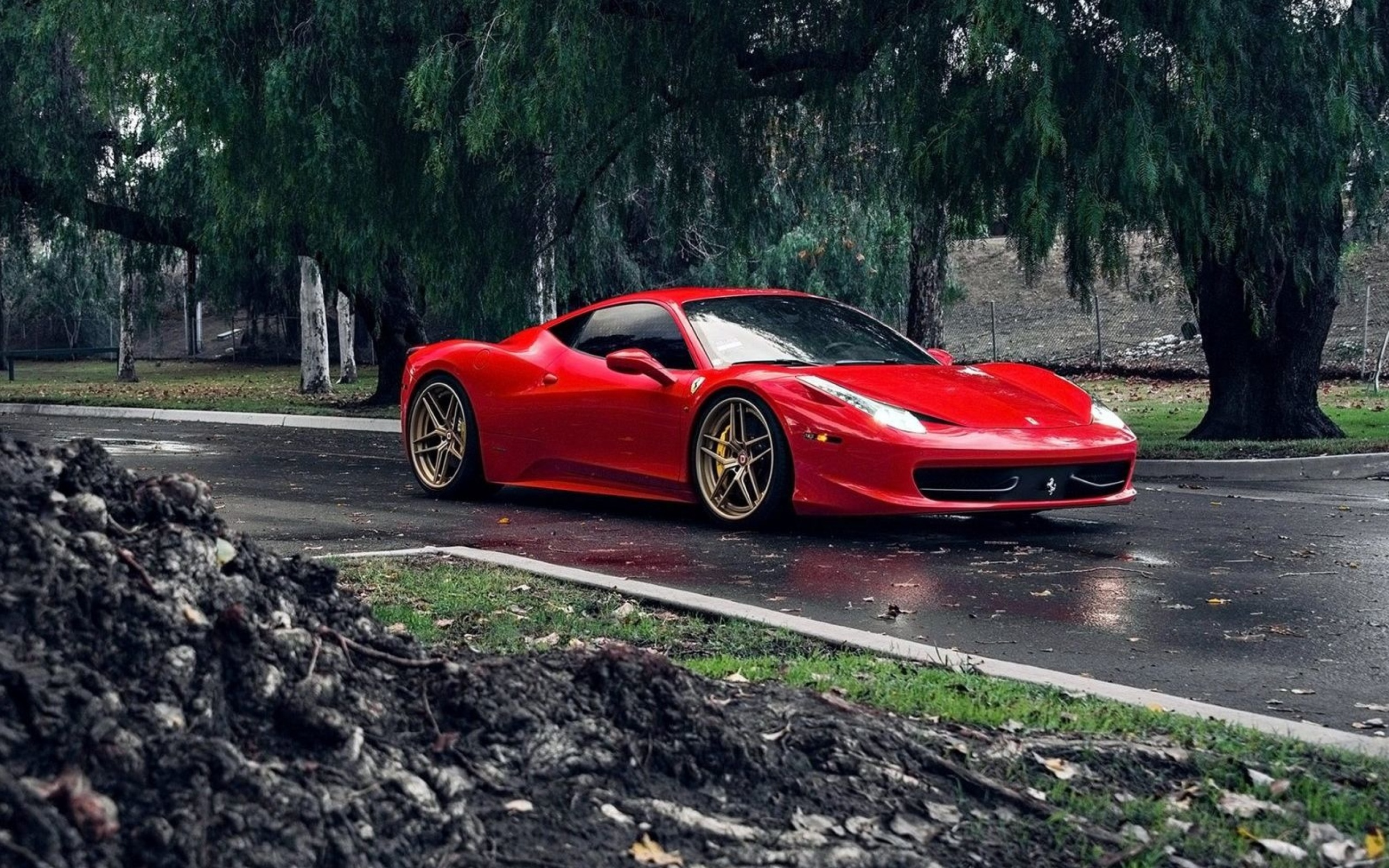 Das Ferrari Enzo after Rain Wallpaper 2560x1600
