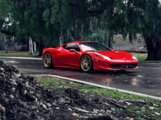 Обои Ferrari Enzo after Rain 320x240
