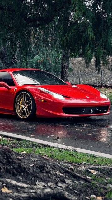 Обои Ferrari Enzo after Rain 360x640