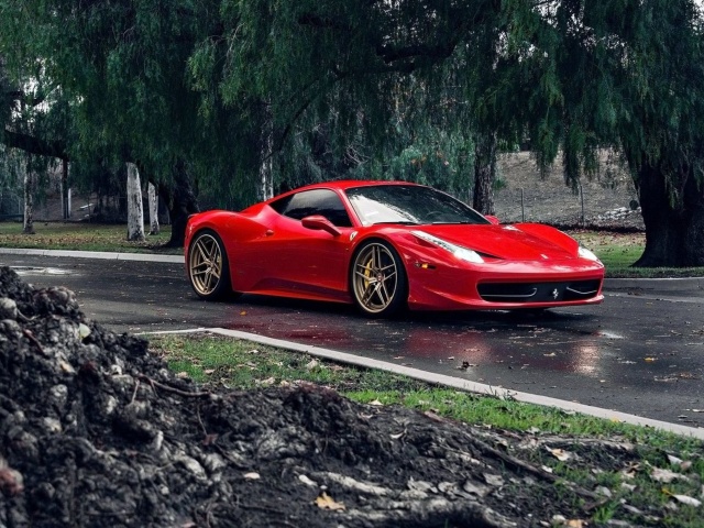 Das Ferrari Enzo after Rain Wallpaper 640x480