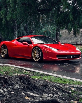 Kostenloses Ferrari Enzo after Rain Wallpaper für iPhone 6