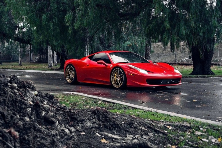Обои Ferrari Enzo after Rain