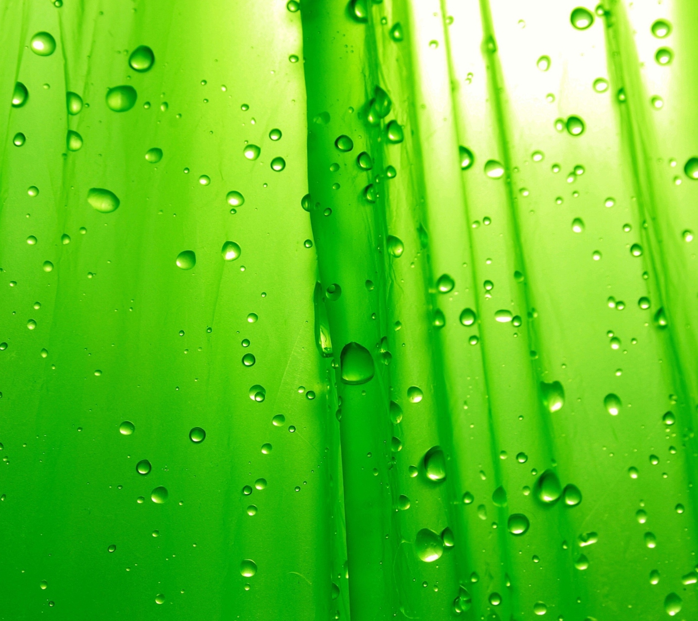 Screenshot №1 pro téma Green Drops Of Rain 1440x1280