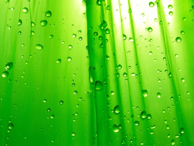 Обои Green Drops Of Rain 640x480