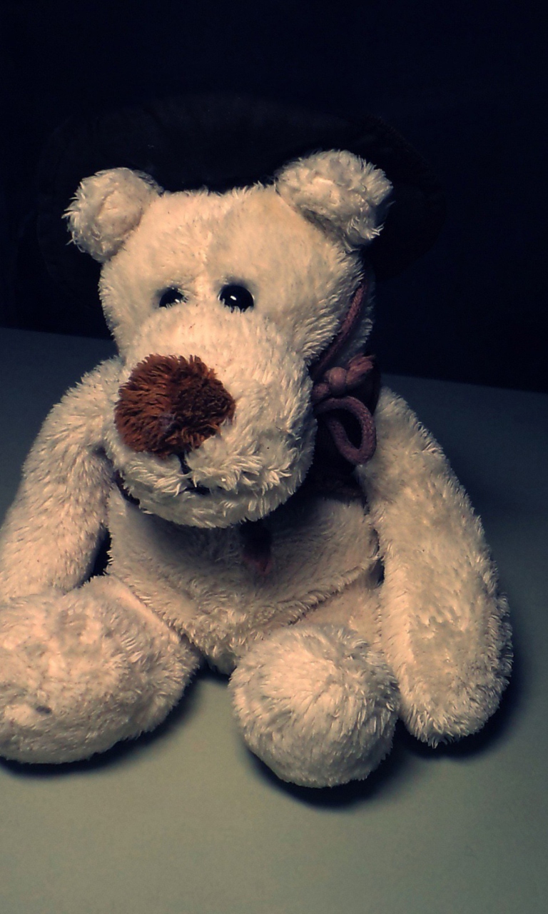 Sfondi Sad Teddy Bear Sitting Alone 768x1280