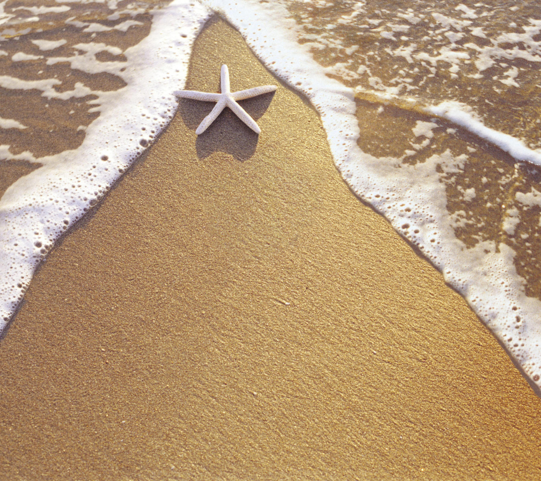 Das Christmas Vacation on Bahamas Wallpaper 1080x960