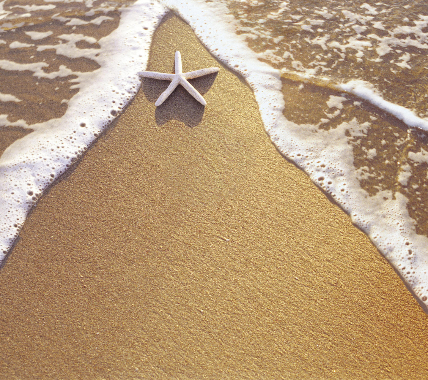 Das Christmas Vacation on Bahamas Wallpaper 1440x1280