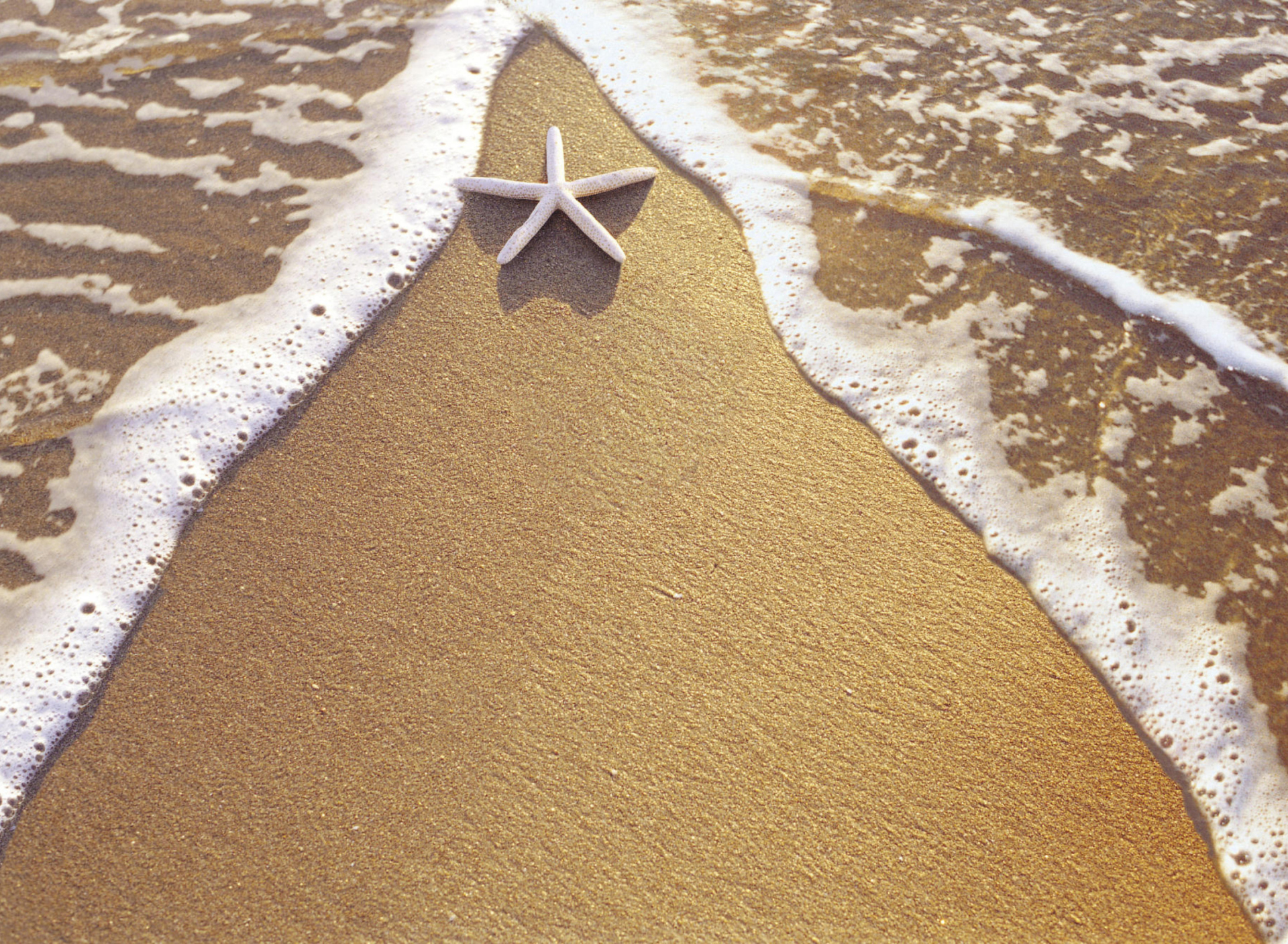 Fondo de pantalla Christmas Vacation on Bahamas 1920x1408