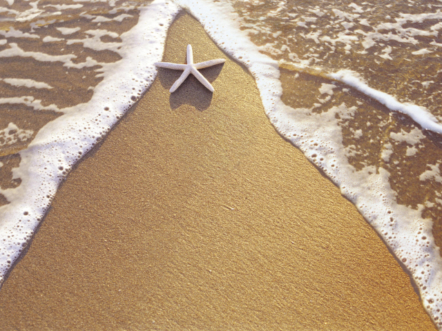 Das Christmas Vacation on Bahamas Wallpaper 640x480