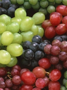Das Colorful Grapes Wallpaper 132x176