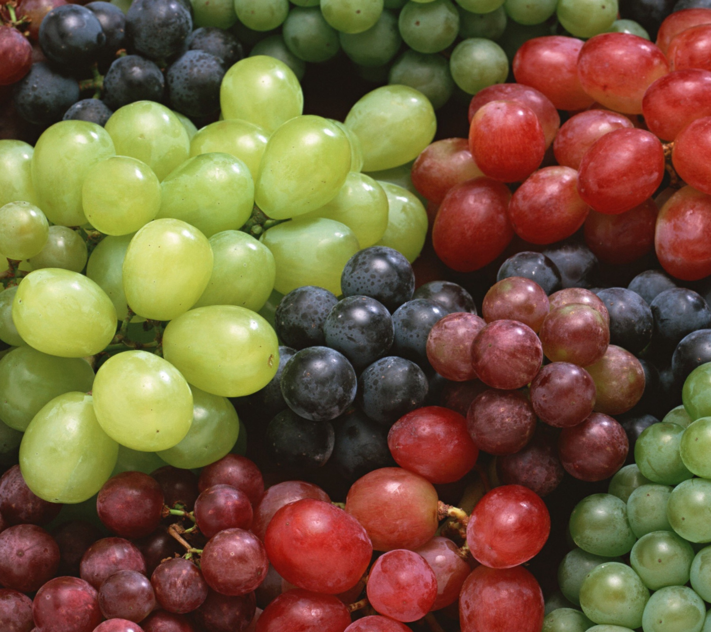 Colorful Grapes wallpaper 1440x1280