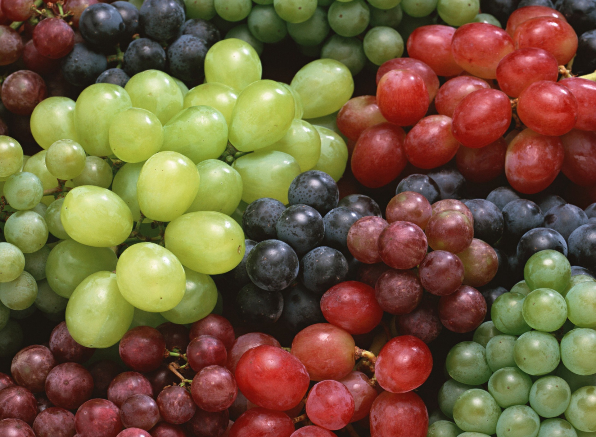 Fondo de pantalla Colorful Grapes 1920x1408