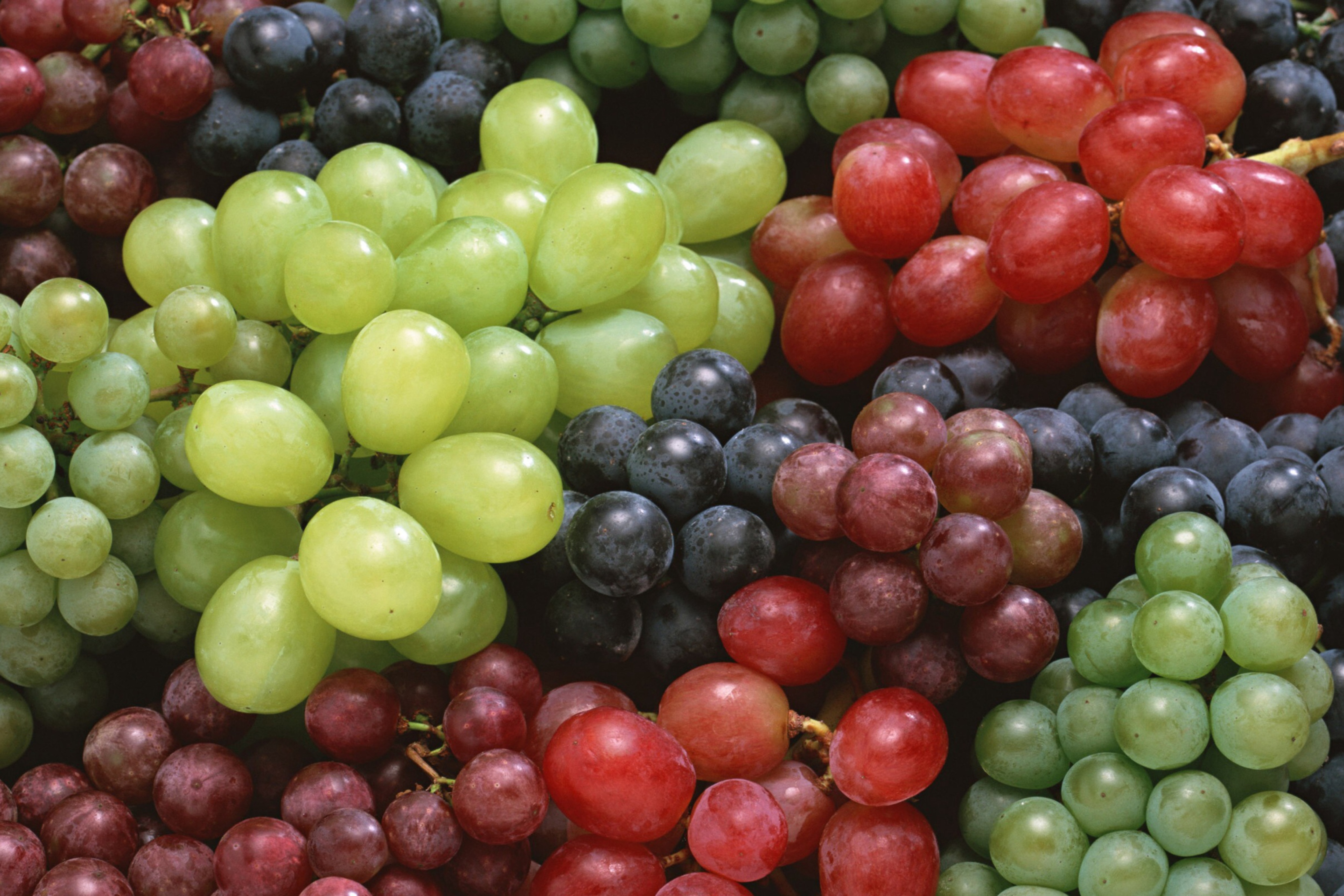 Screenshot №1 pro téma Colorful Grapes 2880x1920