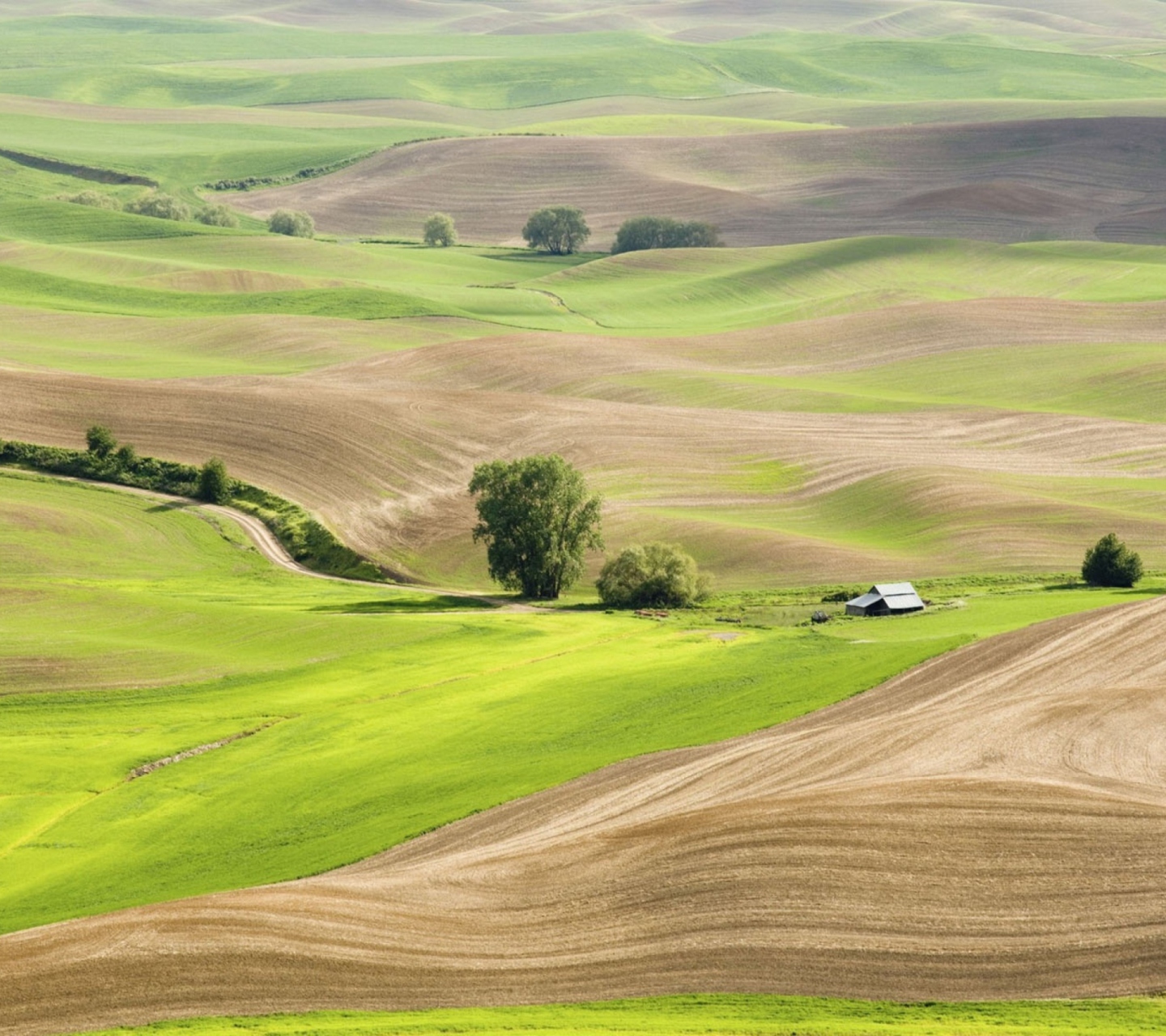 Screenshot №1 pro téma Countryside Landscape 1440x1280