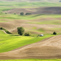 Countryside Landscape screenshot #1 208x208
