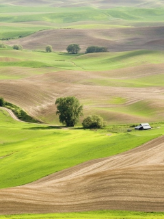 Sfondi Countryside Landscape 240x320