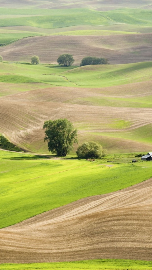 Screenshot №1 pro téma Countryside Landscape 640x1136