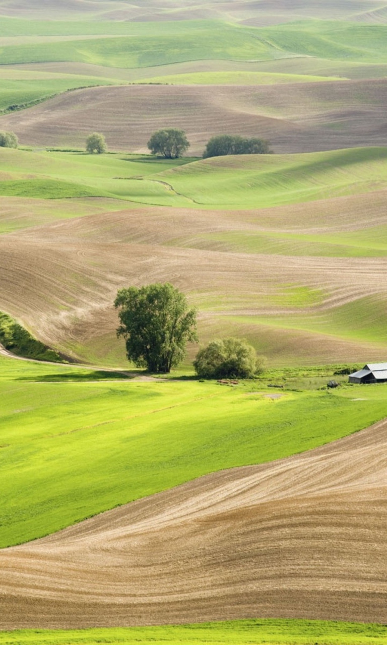 Countryside Landscape screenshot #1 768x1280