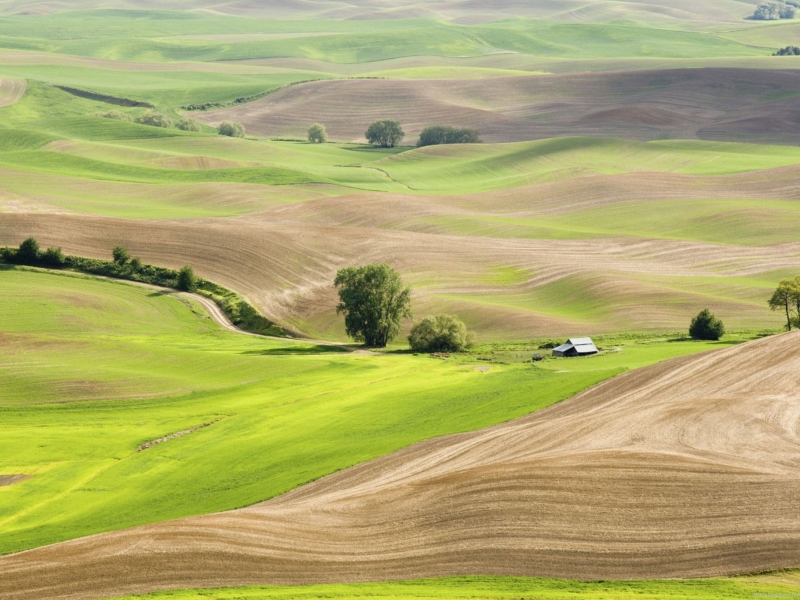 Countryside Landscape screenshot #1 800x600