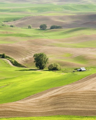 Countryside Landscape - Obrázkek zdarma pro 360x640
