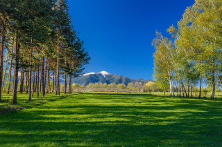 Bulgaria Mountains near Sofia - Fondos de pantalla gratis para LG E400 Optimus L3