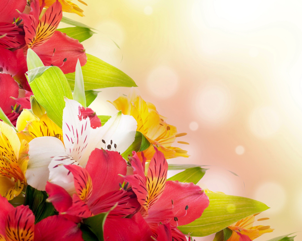 Обои Flowers for the holiday of March 8 1280x1024