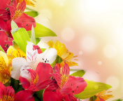 Flowers for the holiday of March 8 screenshot #1 176x144