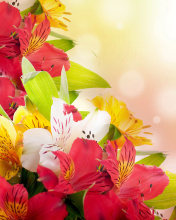 Das Flowers for the holiday of March 8 Wallpaper 176x220