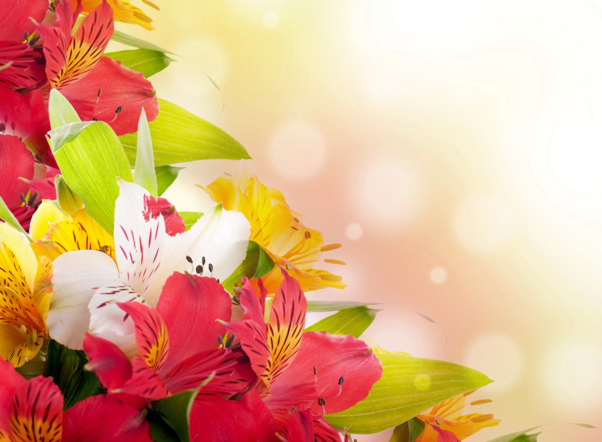 Flowers for the holiday of March 8 wallpaper 1920x1408