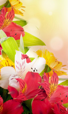 Das Flowers for the holiday of March 8 Wallpaper 240x400