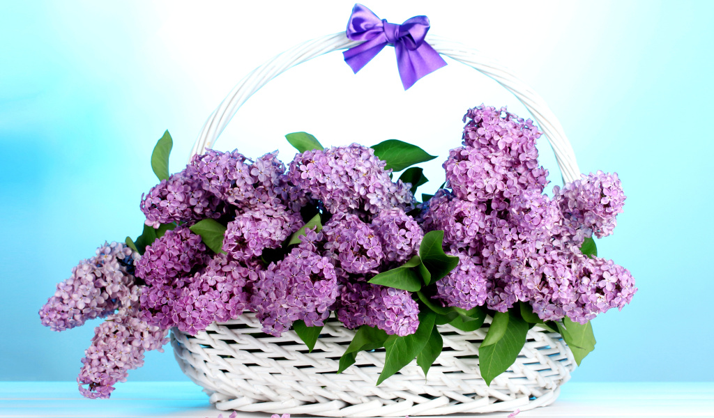 Das Baskets with lilac flowers Wallpaper 1024x600