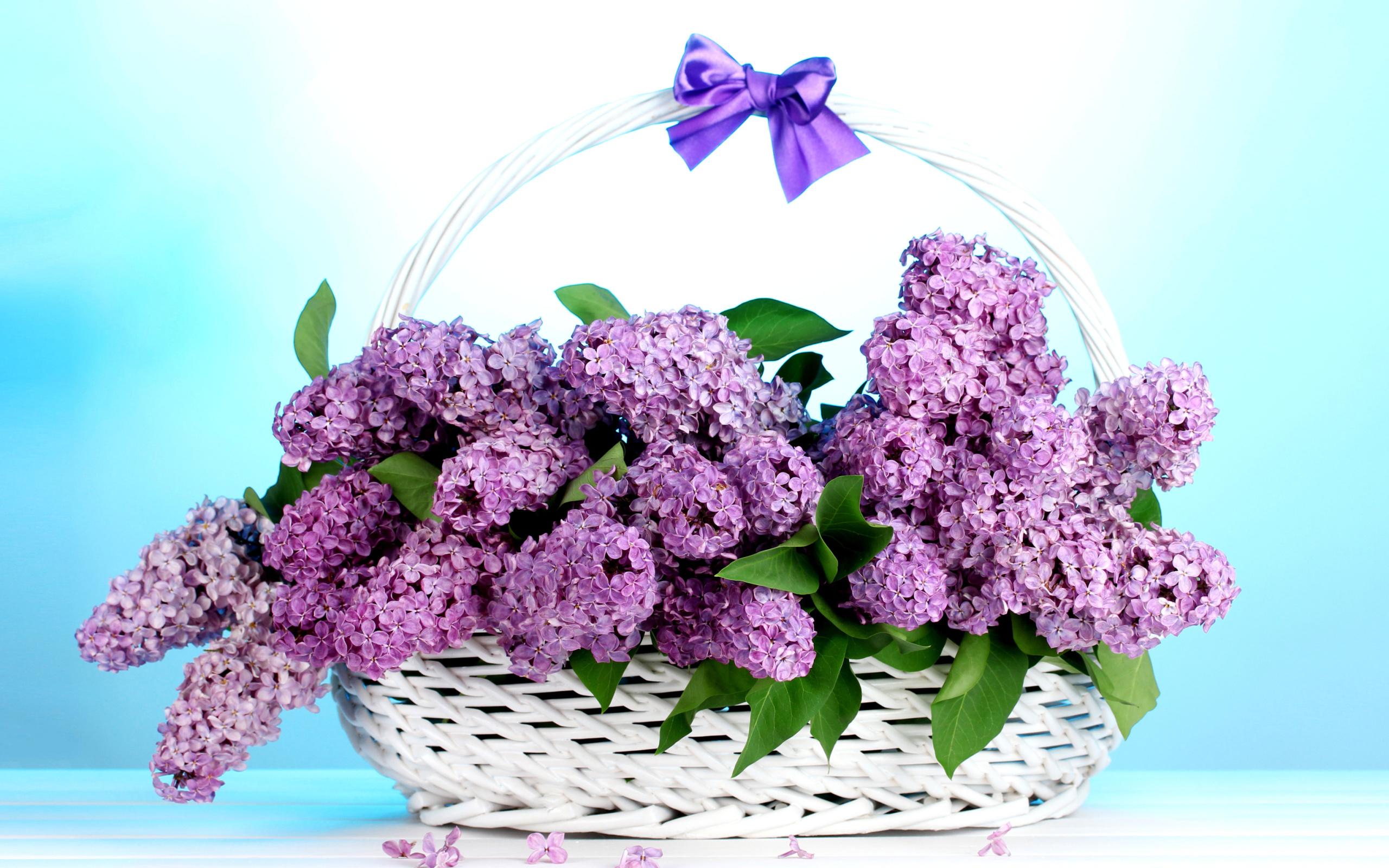 Das Baskets with lilac flowers Wallpaper 2560x1600