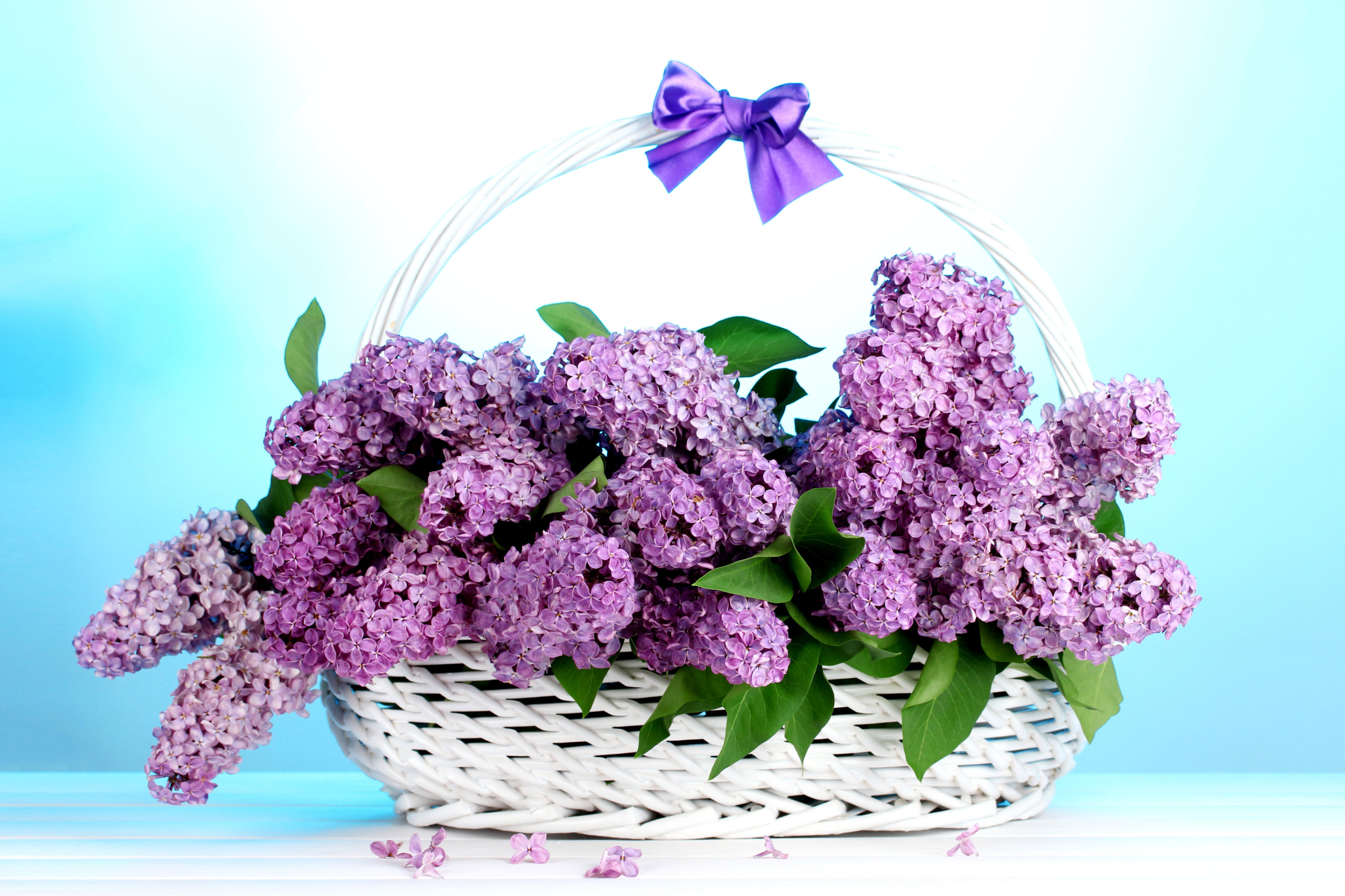 Обои Baskets with lilac flowers 2880x1920