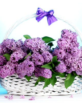 Baskets with lilac flowers - Obrázkek zdarma pro Nokia Lumia 925