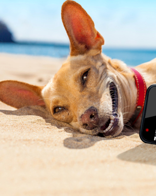 Dog beach selfie on iPhone 7 sfondi gratuiti per 176x220