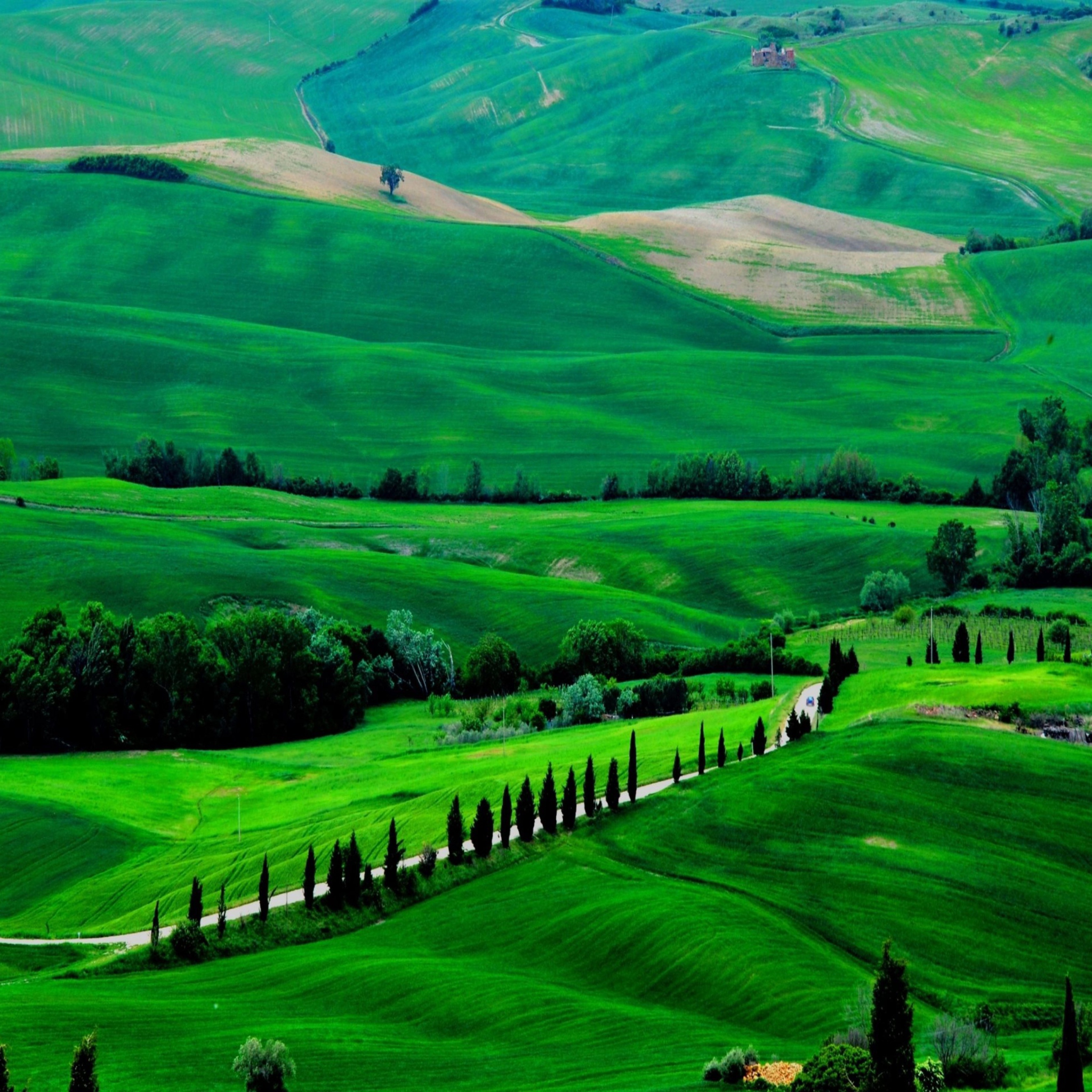 Screenshot №1 pro téma Green Countryside 2048x2048