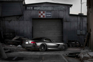 Black Dodge Viper - Obrázkek zdarma pro 1600x900