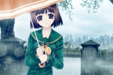 Screenshot №1 pro téma Anime Girl in Rain 480x320