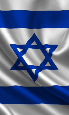 Screenshot №1 pro téma Israel Flag 240x400