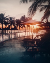 Paradise Beach Resort screenshot #1 176x220