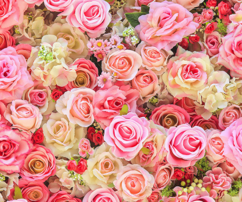 Das Bush Flowers Pink Wallpaper 480x400