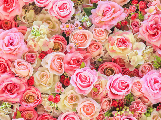 Das Bush Flowers Pink Wallpaper 640x480