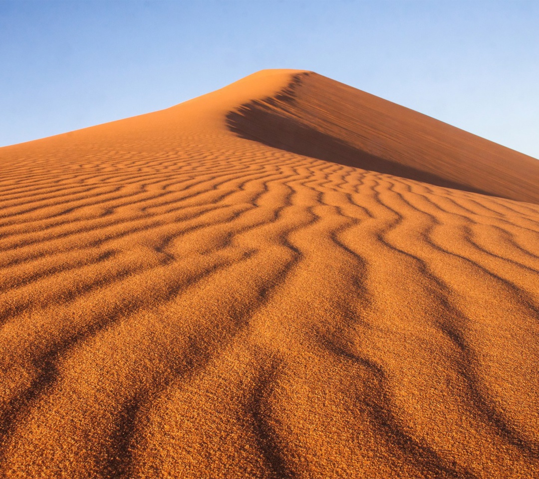 Обои Dune in desert 1080x960