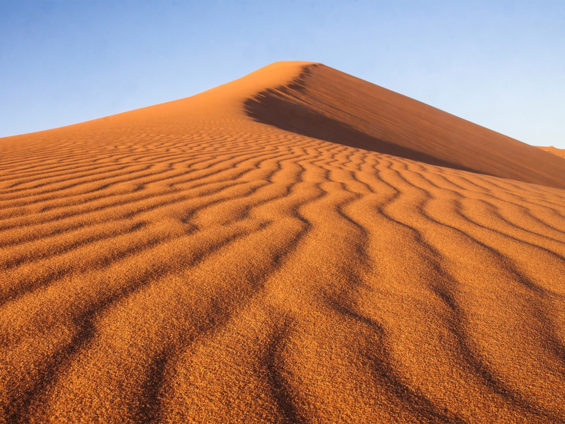 Fondo de pantalla Dune in desert 1152x864