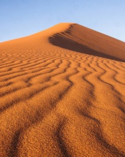 Fondo de pantalla Dune in desert 176x220