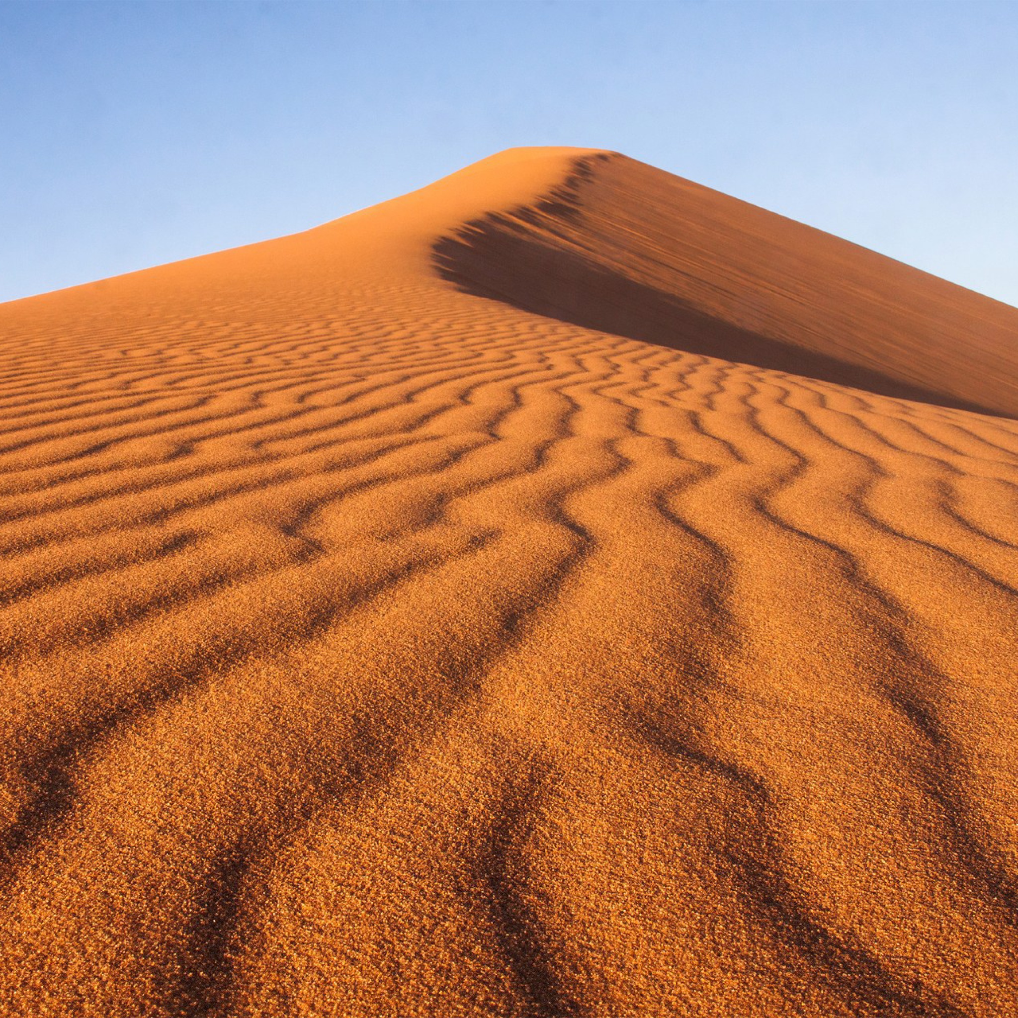 Fondo de pantalla Dune in desert 2048x2048