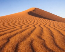Das Dune in desert Wallpaper 220x176