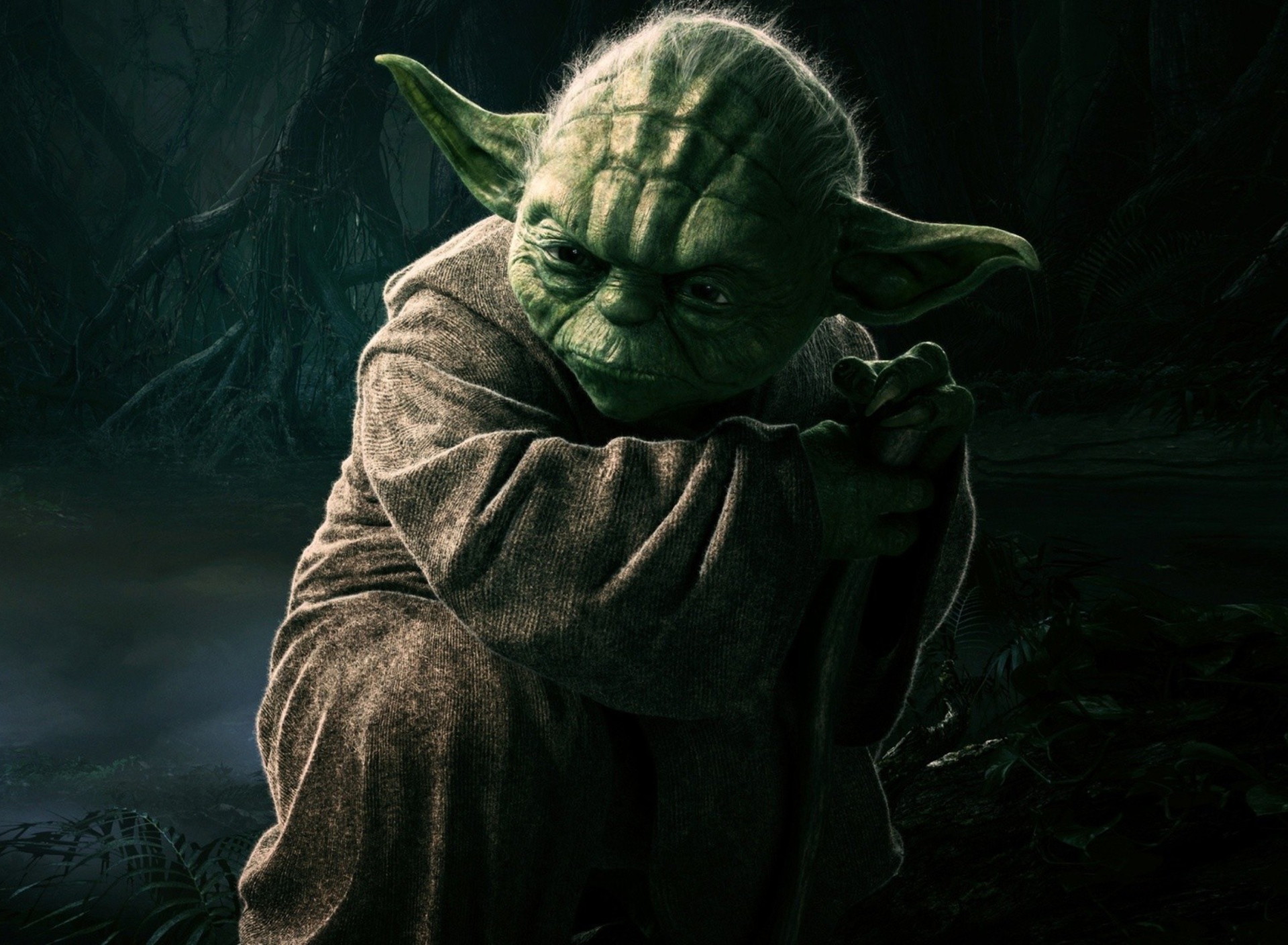 Yoda screenshot #1 1920x1408