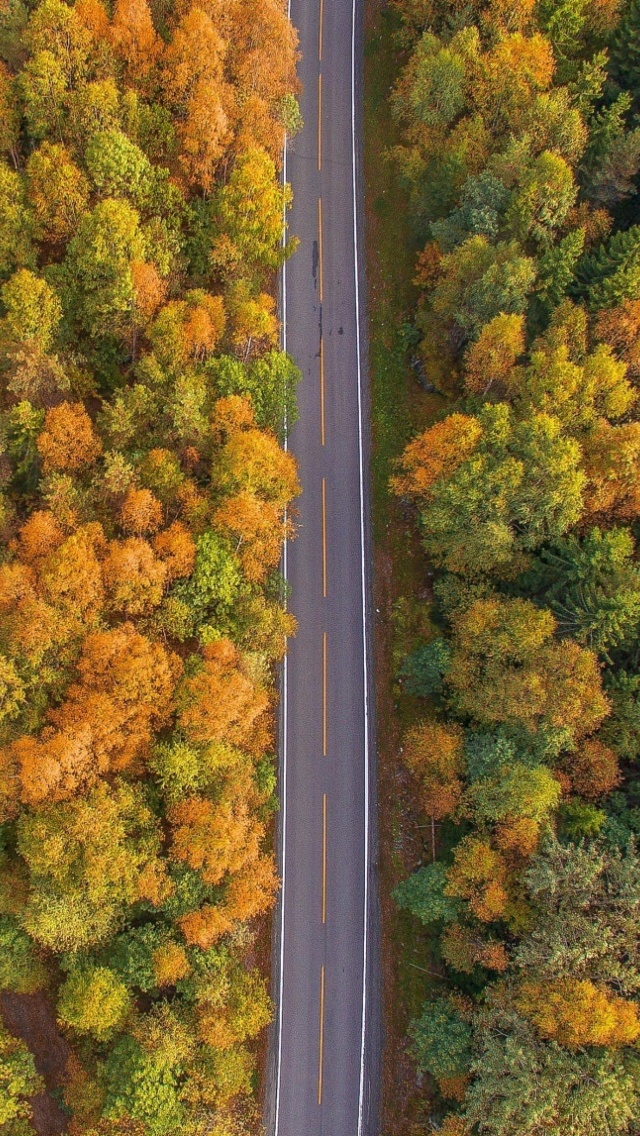 Sfondi Drone photo of autumn forest 640x1136