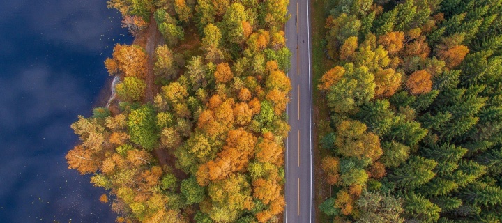 Sfondi Drone photo of autumn forest 720x320